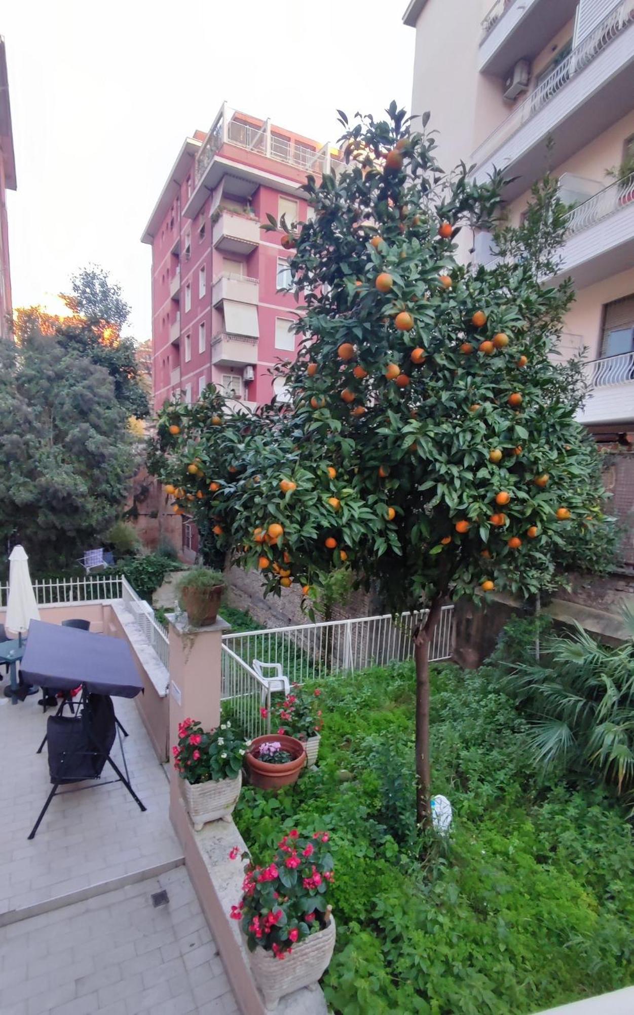Vatican Green Garden Ρώμη Εξωτερικό φωτογραφία
